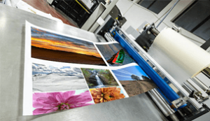 Displays & Carteles